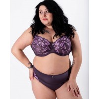 Трусики жіночі мікрофібра з вишивкою Lanny 51294 фіолетові 4277-3