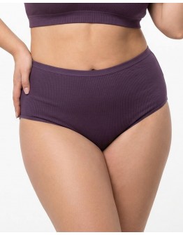 Жіночі труси завищеної посадки трикотаж-рубчик Wiwi 5203 фіолетові 4468-4