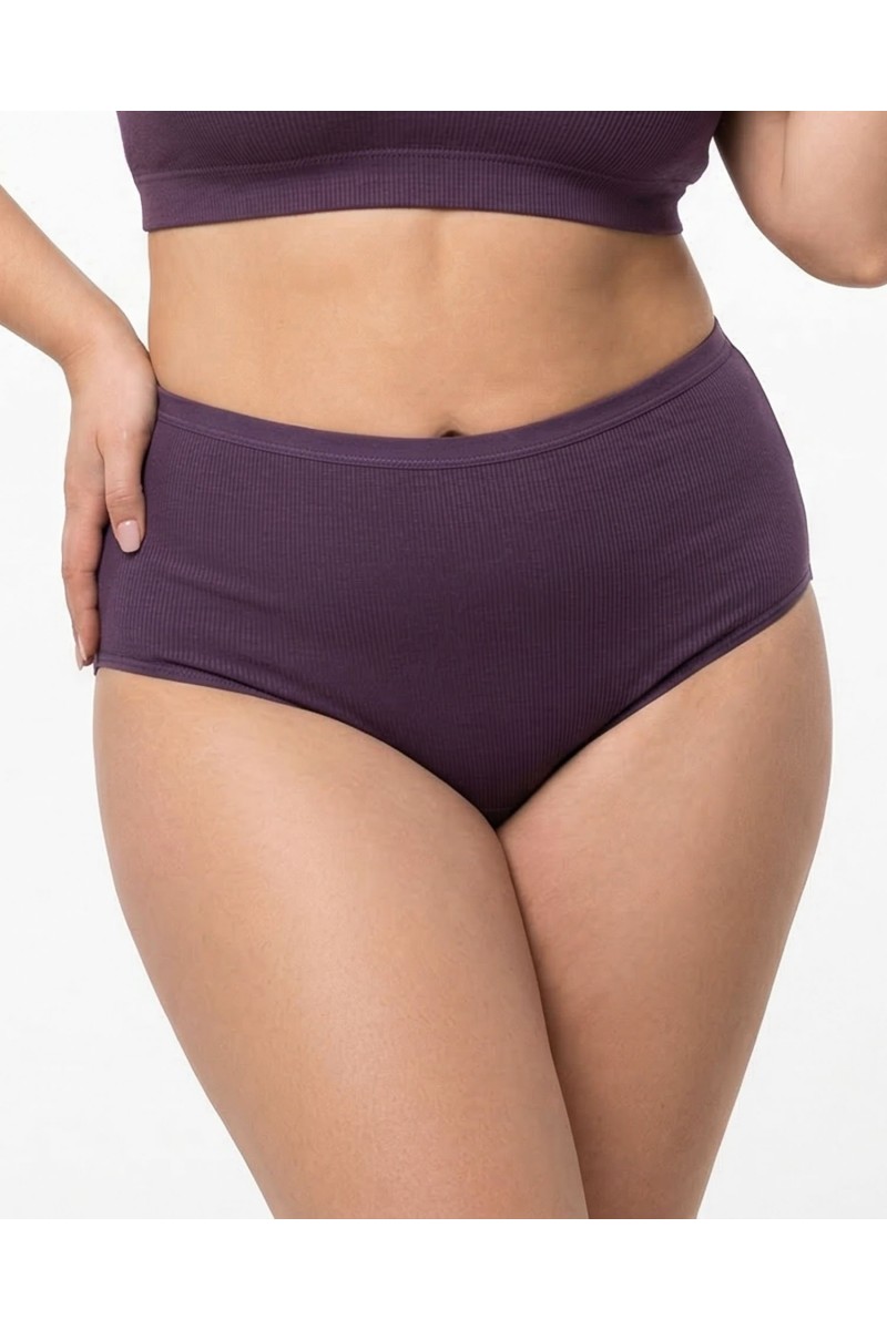 Жіночі труси завищеної посадки трикотаж-рубчик Wiwi 5203 фіолетові 4468-4